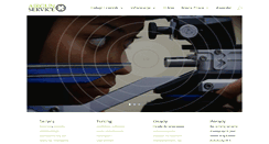 Desktop Screenshot of airgunservice.pl